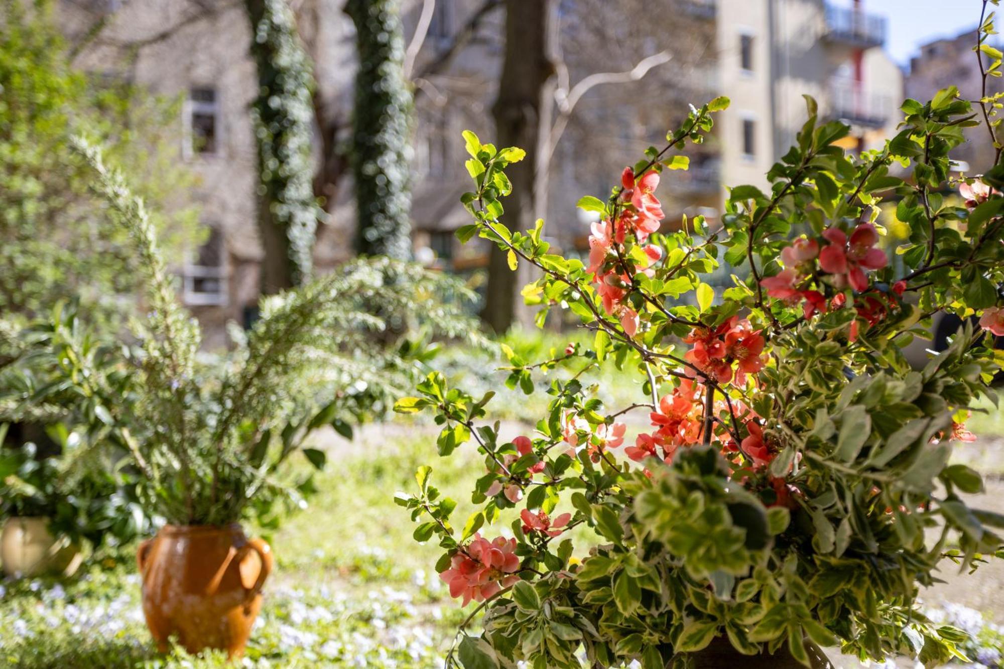 Ginkgobiloba The Green Harmony Apartment Budapest Ngoại thất bức ảnh